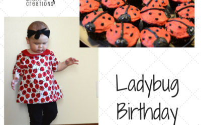 Ladybug Birthday Party