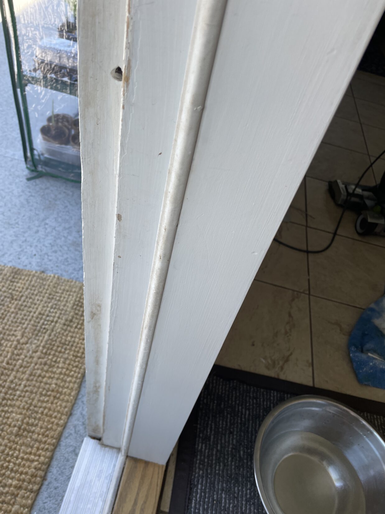 Mint Cleaning, DIY Door Refresh