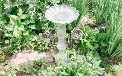 Upcycled Glass: A Step-by-Step Guide to Transform Thrift Store Glass into a DIY Bird Bath