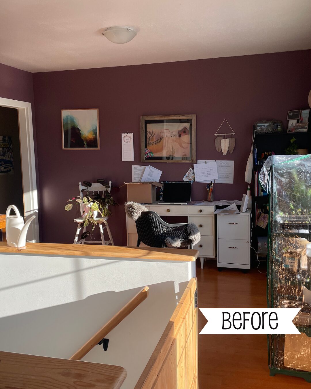 before and after home renovations, so bright home