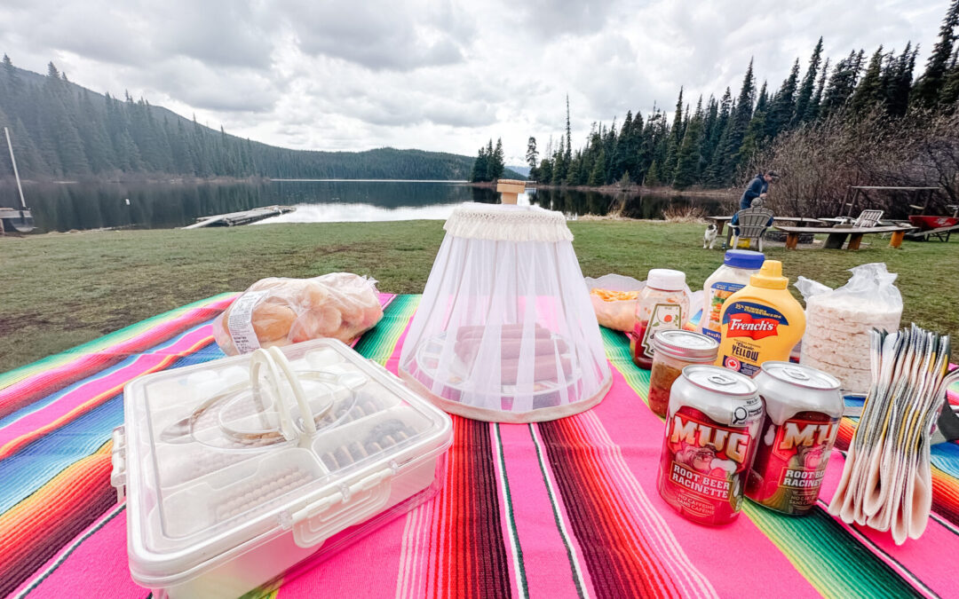 Picnic Tips + an Exciting DIY Thrift Hack for Keeping Bugs Away!