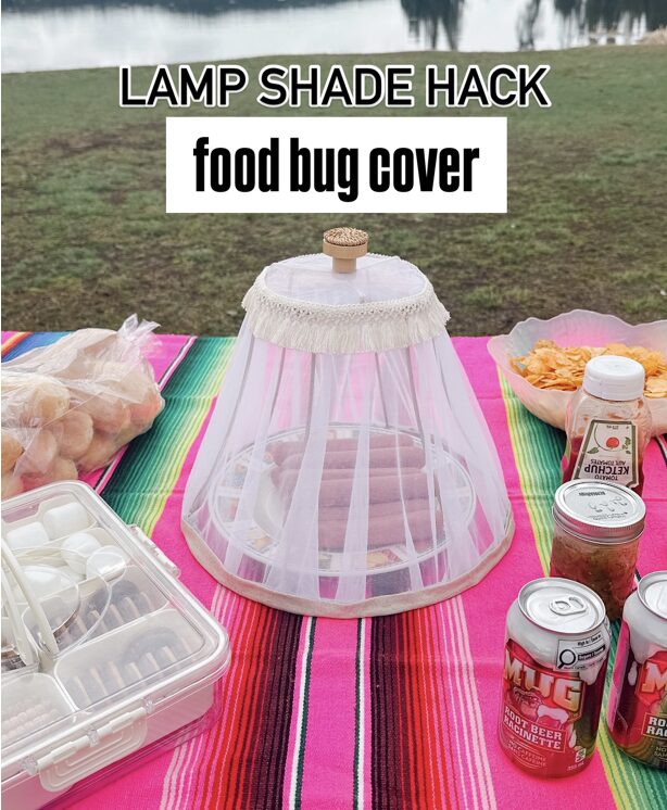 A bug cover to protect your food made from a thrifted lamp shade.
