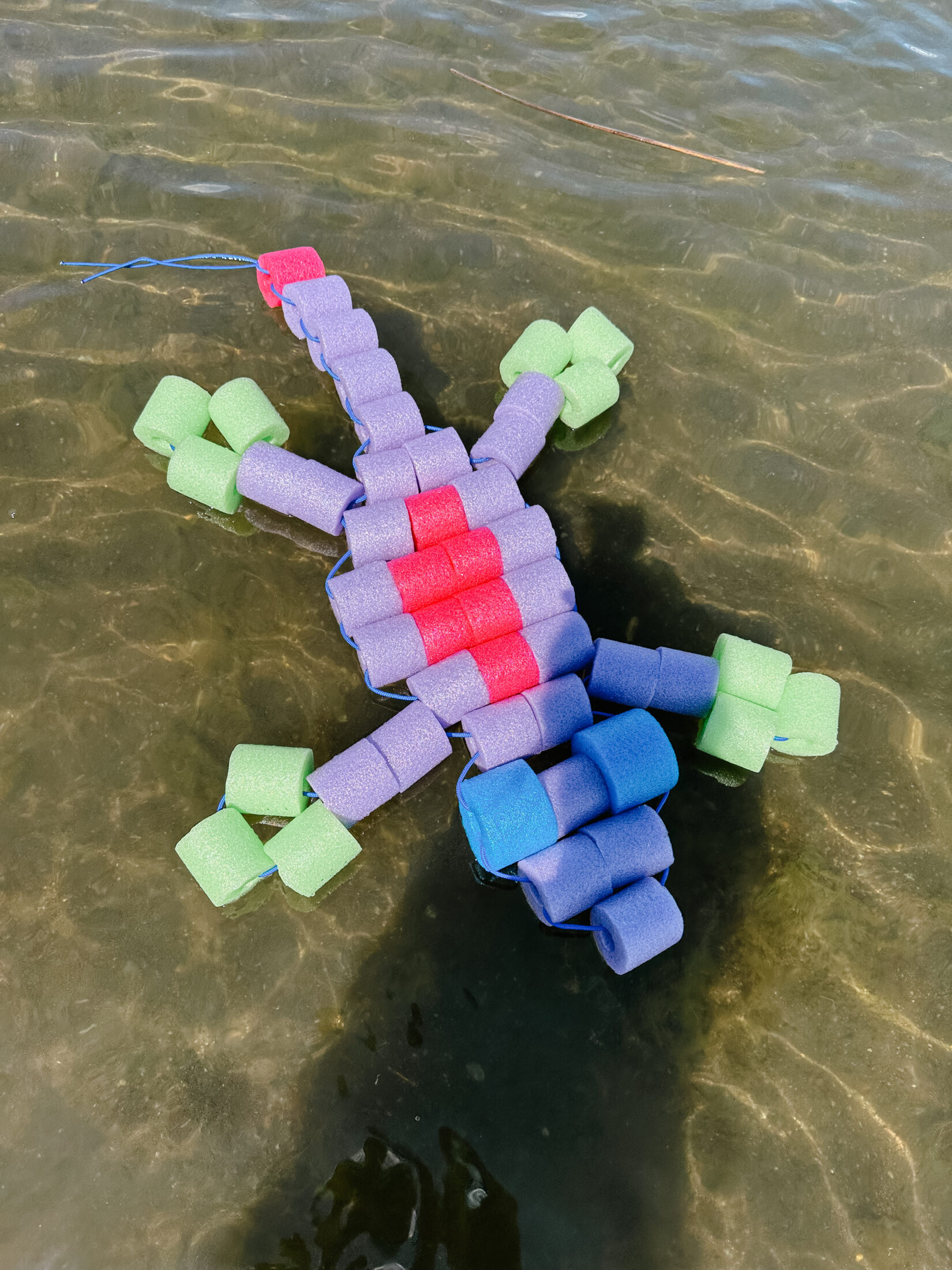 Gecko made from pool noodles in a lake.